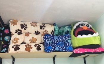 Veterinaria Peeks and Chiens