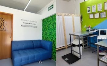 Clínica Veterinaria Dalila