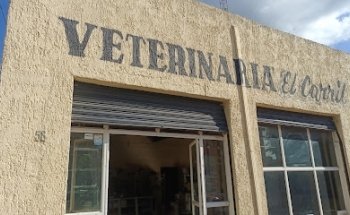 Veterinaria Hipodromo S de R.L de C.V