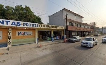 Veterinaria El Establo