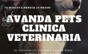 Avanda Pets