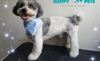 Veterinaria Happy Pets