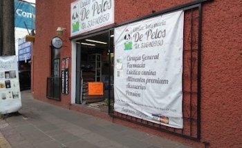 Clínica Veterinaria De Pelos