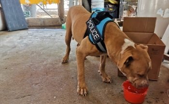 Clínica Veterinaria Farvet