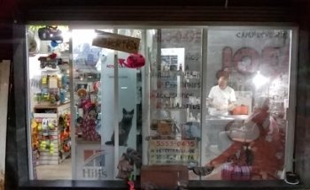 CONSULTORIO VETERINARIO 