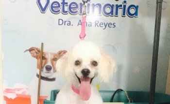 Veterinara Dr. Reyes Paz
