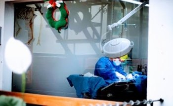 Albiter Veterinary Hospital