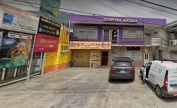 Vetintegral Suc. Del Paseo