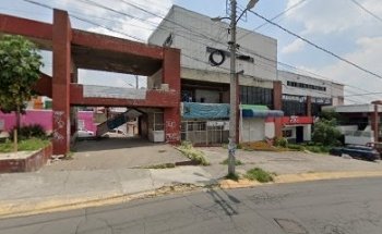 Clinica Veterinaria Especialista en Equinos y Pequeñas Especies