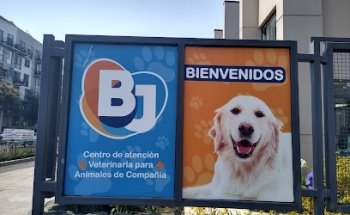 Centro de Atención Veterinaria para Animales de Compañía BJ