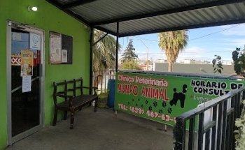 Clínica veterinaria Mundo Animal en Delicias