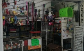 Central Veterinaria del Valle