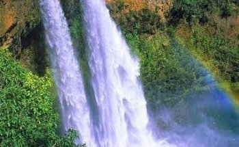 Veterinaria EL ZOOLÓGICO