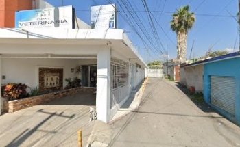 Veterinaria Torres