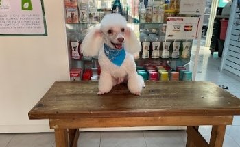 CLINICA VETERINARIA INTEGRAL