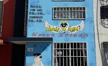 Clínica y Laboratorio Veterinario Salvando un Ángel