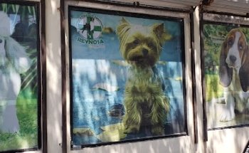 Clínica Veterinaria Reynosa