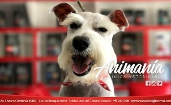 Animanía Clínica Veterinaria