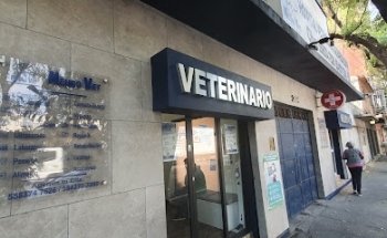 Hospital Veterinario de Especialidades NeuroVet