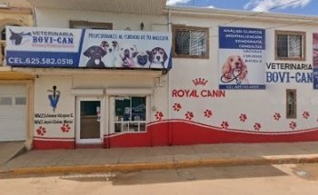 Veterinaria Bovi Can