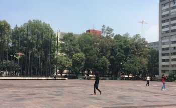 Veterinaria 2 de Abril