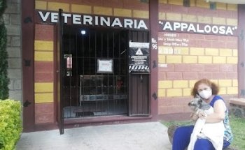 Veterinaria Appaloosa