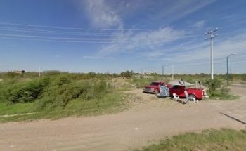 Veterinaria Kaninos Dogscho