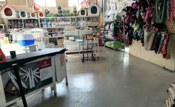 Proveedor Veterinario de Durango