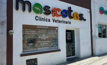 Clínica Veterinaria 