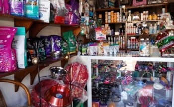 Médicos veterinarios