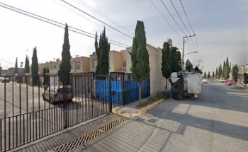 Veterinaria Beautiful pet