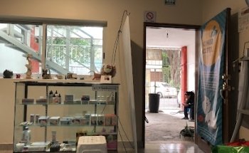 Cihuacóatl Veterinaria