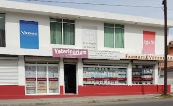 Veterinarium S.A. De C.V.