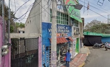 Consultorio Veterinario