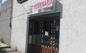 Veterinaria Medivet