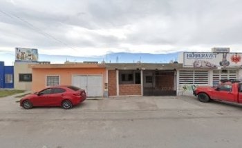 Veterinaria pocas pulgas