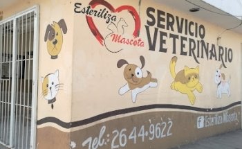 Veterinaria Esteriliza Mascota