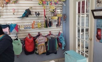 Family Pet Campestre