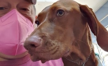 Consultorio Veterinario Dr. Hollands