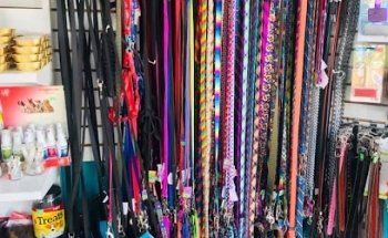 Hospital veterinario Alvet