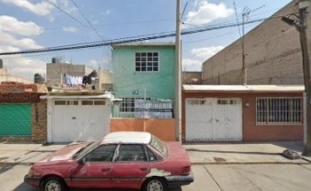 Veterinario Scottish