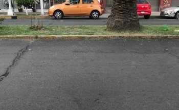 Veterinaria MediCan Sur