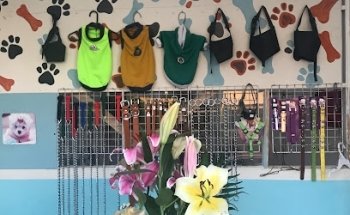 Veterinaria Mi+Kotita