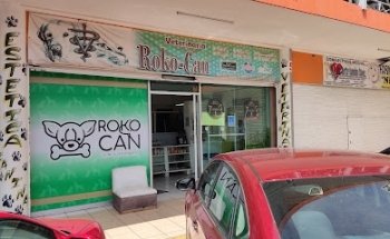 Roko - Can Veterinaria