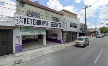 Veterinaria Selvavet