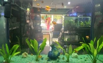 Veterinaria Animalitos