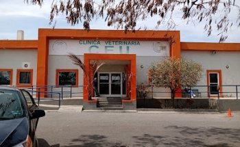 CEU. CLINICA VETERINARIA