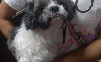 Policlinica Veterinaria BioFauna