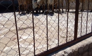 Laboratorios Biofarmex Sa De Cv