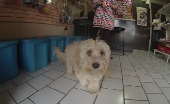 House Of Gamers Oasis